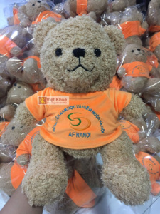 gau-bong-benh-vien-viet-nam-hoc